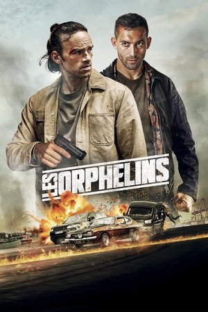 Les Orphelins (2025) WEBRIP Hindi (MULTI AUDIO) 720p – 480p – 1080p
